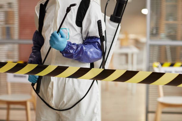 Professional Sewage Cleanup technician working in Santa Barbara, CA